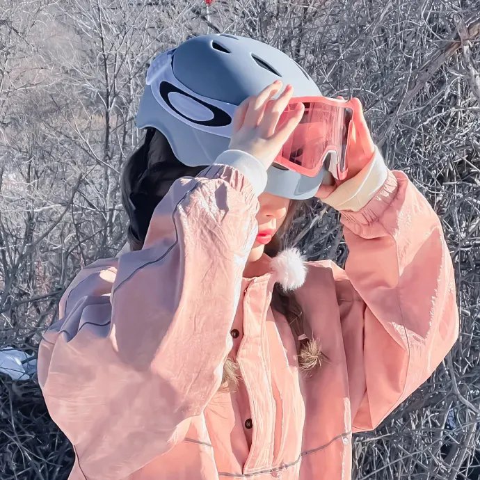 傲骨贤妻第七季