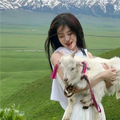 雾山五行犀川幻紫林