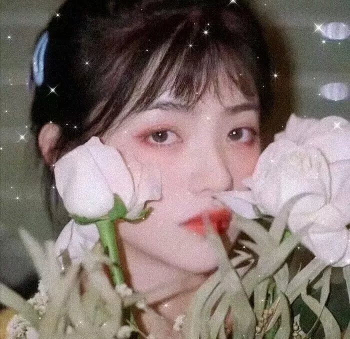 骗子的故事